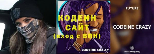 дмт Инсар