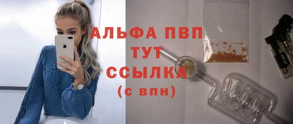 дмт Инсар